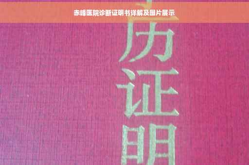 赤峰医院诊断证明书详解及图片展示