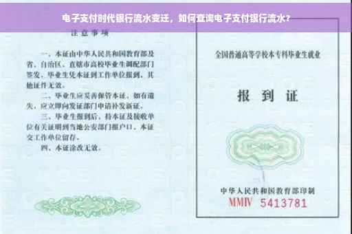 电子支付时代银行流水变迁，如何查询电子支付银行流水？