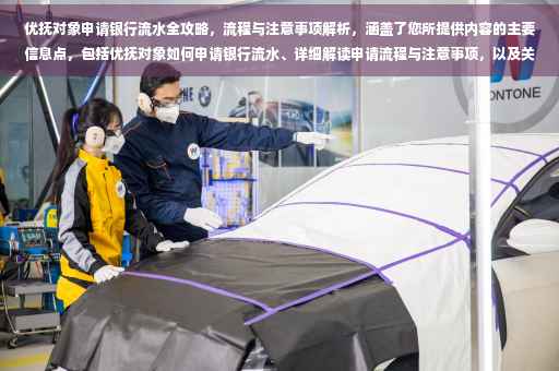 优抚对象申请银行流水全攻略，流程与注意事项解析，涵盖了您所提供内容的主要信息点，包括优抚对象如何申请银行流水、详细解读申请流程与注意事项，以及关于是否需要优抚银行流水证明的问题。