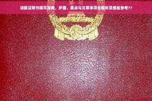 谅解证明书撰写指南，步骤、要点与注意事项全解析及模板参考??
