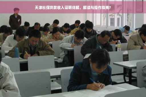 天津社保贷款收入证明详解，解读与操作指南?