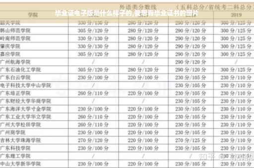毕业证电子版是什么样子的,我想看毕业证书的图片