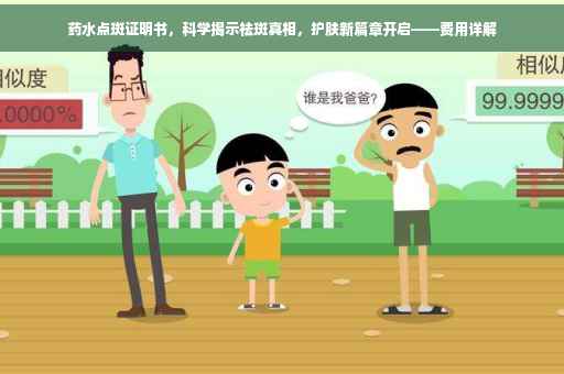 药水点斑证明书，科学揭示祛斑真相，护肤新篇章开启——费用详解