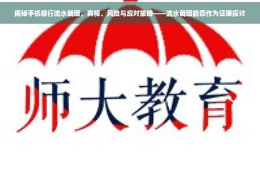 揭秘手机银行流水截图，真相、风险与应对策略——流水截图能否作为证据探讨