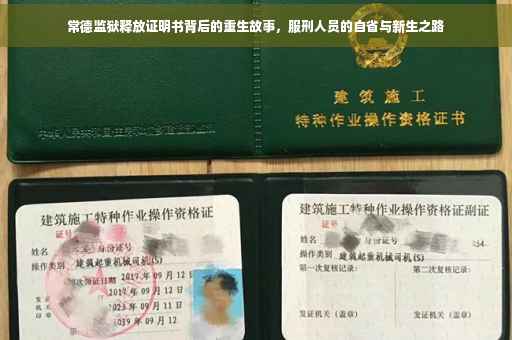 常德监狱释放证明书背后的重生故事，服刑人员的自省与新生之路