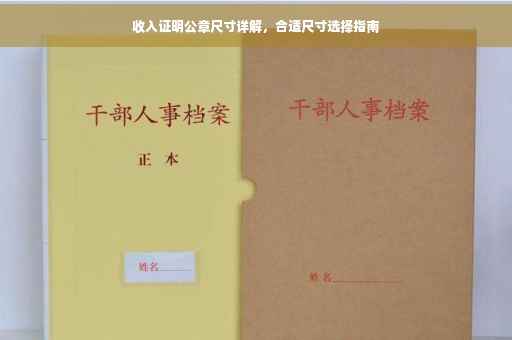 收入证明公章尺寸详解，合适尺寸选择指南