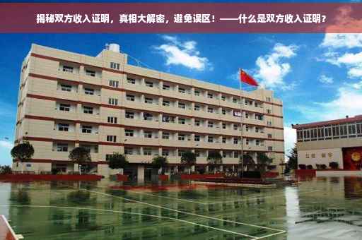 揭秘双方收入证明，真相大解密，避免误区！——什么是双方收入证明？