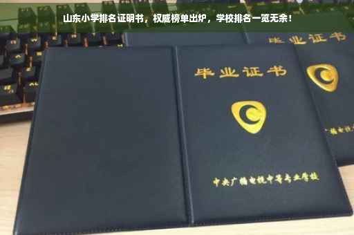 山东小学排名证明书，权威榜单出炉，学校排名一览无余！