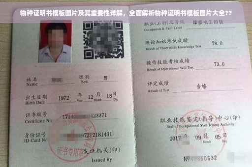 物种证明书模板图片及其重要性详解，全面解析物种证明书模板图片大全??