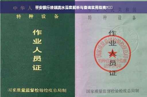 平安银行终端流水深度解析与查询实用指南?⚡️