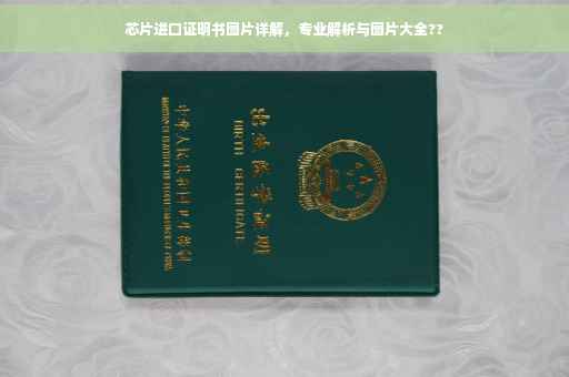 芯片进口证明书图片详解，专业解析与图片大全??