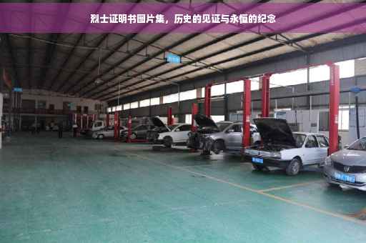 烈士证明书图片集，历史的见证与永恒的纪念