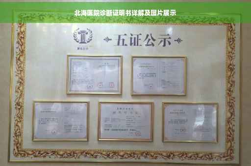 北海医院诊断证明书详解及图片展示