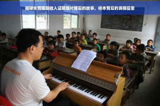 揭秘东莞医院收入证明图片背后的故事，样本背后的真相探索