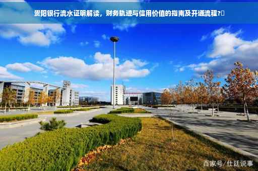 贵阳银行流水证明解读，财务轨迹与信用价值的指南及开通流程?✨
