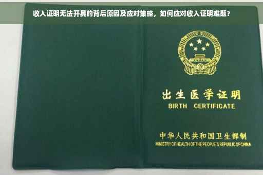 收入证明无法开具的背后原因及应对策略，如何应对收入证明难题？