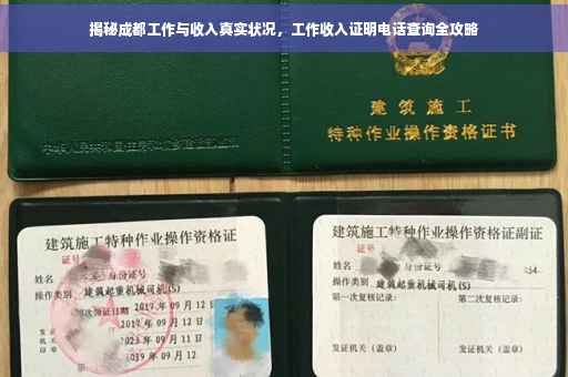 揭秘成都工作与收入真实状况，工作收入证明电话查询全攻略