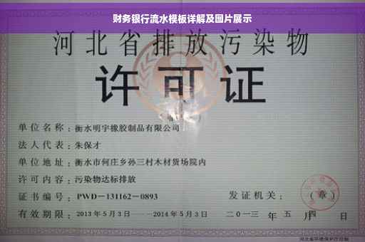 财务银行流水模板详解及图片展示