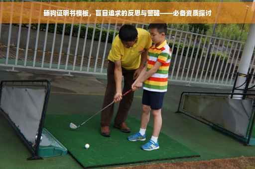 舔狗证明书模板，盲目追求的反思与警醒——必备资质探讨