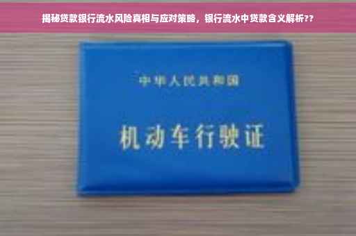 揭秘贷款银行流水风险真相与应对策略，银行流水中贷款含义解析??