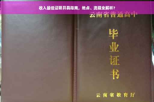 收入最低证明开具指南，地点、流程全解析?