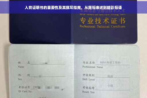 入党证明书的重要性及其撰写指南，从简短表述到精彩短语