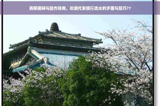 真相揭秘与操作指南，批量代发银行流水的步骤与技巧??