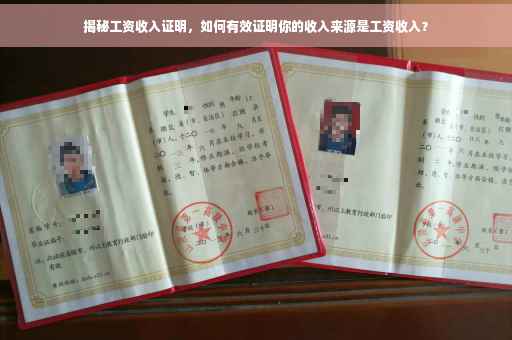 揭秘工资收入证明，如何有效证明你的收入来源是工资收入？