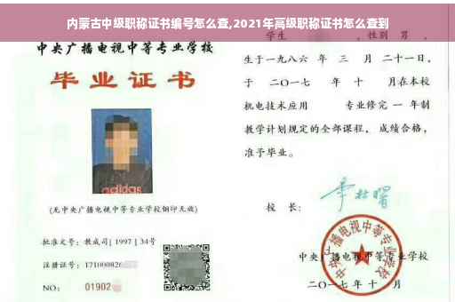 内蒙古中级职称证书编号怎么查,2021年高级职称证书怎么查到 内蒙古中级职称证书编号怎么查,2021年高级职称证书怎么查到
