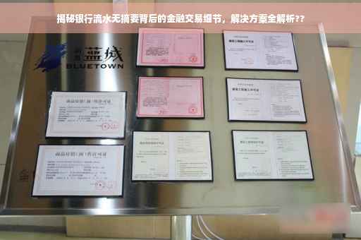 揭秘银行流水无摘要背后的金融交易细节，解决方案全解析??