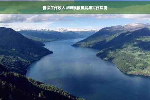 低保工作收入证明模板详解与写作指南