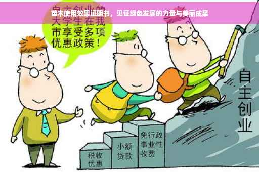苗木使用效果证明书，见证绿色发展的力量与美丽成果