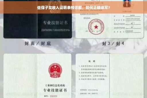 低保子女收入证明表格详解，如何正确填写？