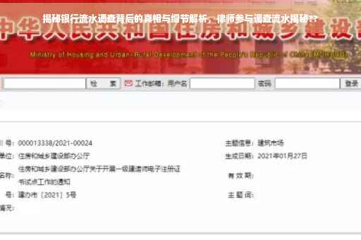 揭秘银行流水调查背后的真相与细节解析，律师参与调查流水揭秘??