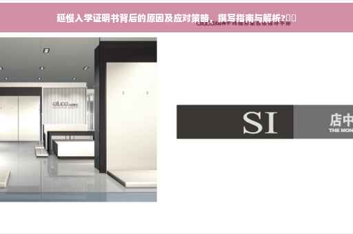延慢入学证明书背后的原因及应对策略，撰写指南与解析?⚡️