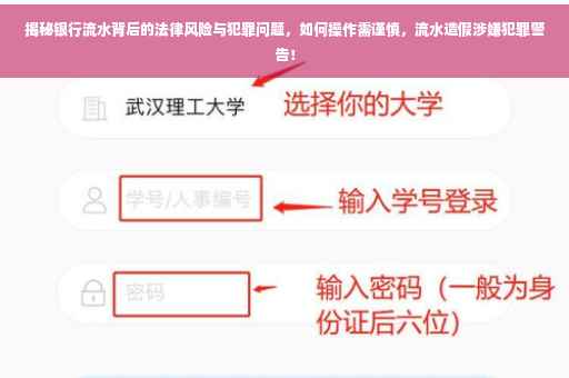 揭秘银行流水背后的法律风险与犯罪问题，如何操作需谨慎，流水造假涉嫌犯罪警告！