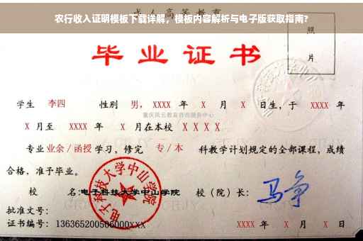 农行收入证明模板下载详解，模板内容解析与电子版获取指南?