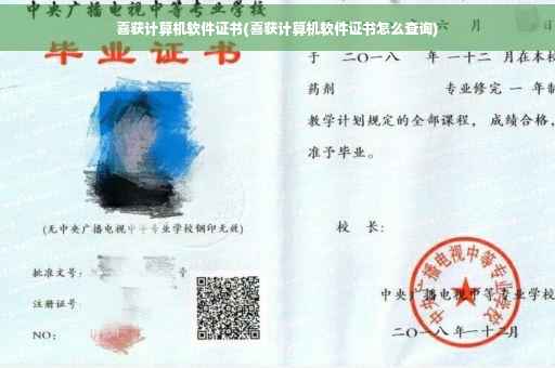 喜获计算机软件证书(喜获计算机软件证书怎么查询)
