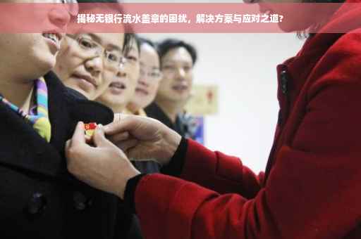 揭秘无银行流水盖章的困扰，解决方案与应对之道?