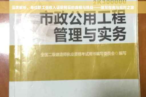 深度解析，单位职工低收入证明背后的真相与挑战——撰写指南与应对之策