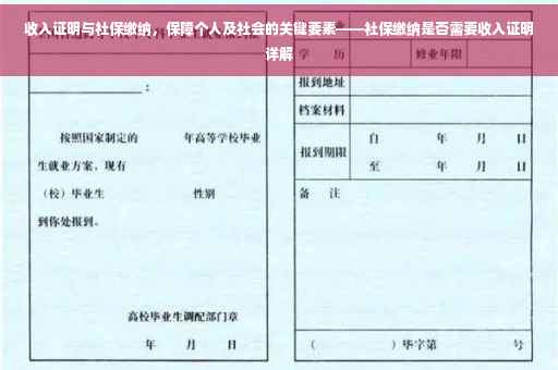 收入证明与社保缴纳，保障个人及社会的关键要素——社保缴纳是否需要收入证明详解