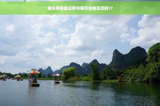 眼失明疾病证明书撰写指南及范例??