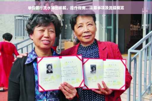 单位银行流水导出详解，操作指南、注意事项及流程概览