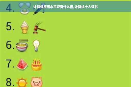 计算机应用水平证有什么用,计算机十大证书