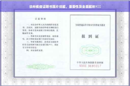 诊所疾病证明书图片详解，重要性及全面解析?⚡️