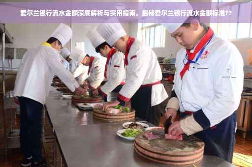 爱尔兰银行流水金额深度解析与实用指南，揭秘爱尔兰银行流水金额标准??