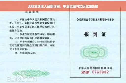 无息贷款收入证明详解，申请流程与实际应用指南