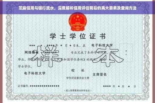 芝麻信用与银行流水，深度解析信用评估背后的两大要素及查询方法