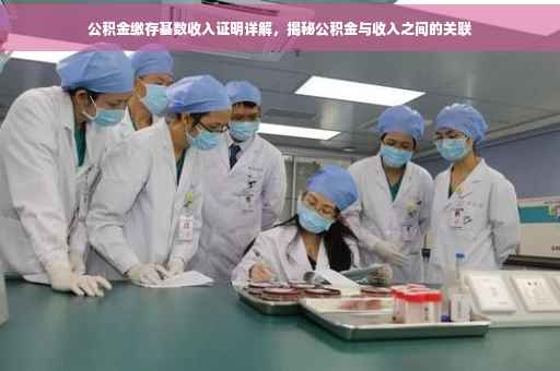 公积金缴存基数收入证明详解，揭秘公积金与收入之间的关联