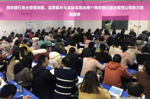 南京银行流水担保详解，深度解析与实际应用指南??南京银行流水担保公司助力金融服务